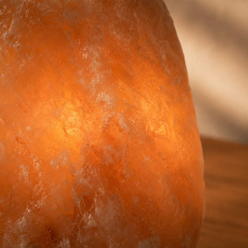 Lumidusk Bloom — Salt Lamp Warmer